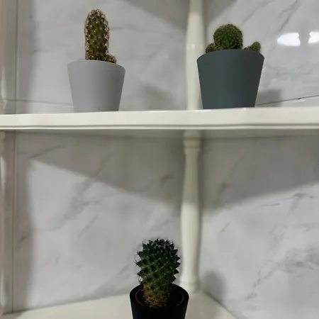 Apartmán As Travesas Ii