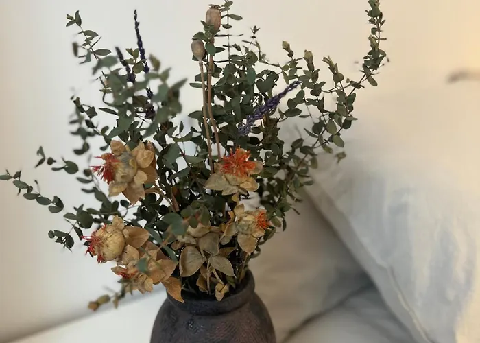 Daire As Travesas Ii