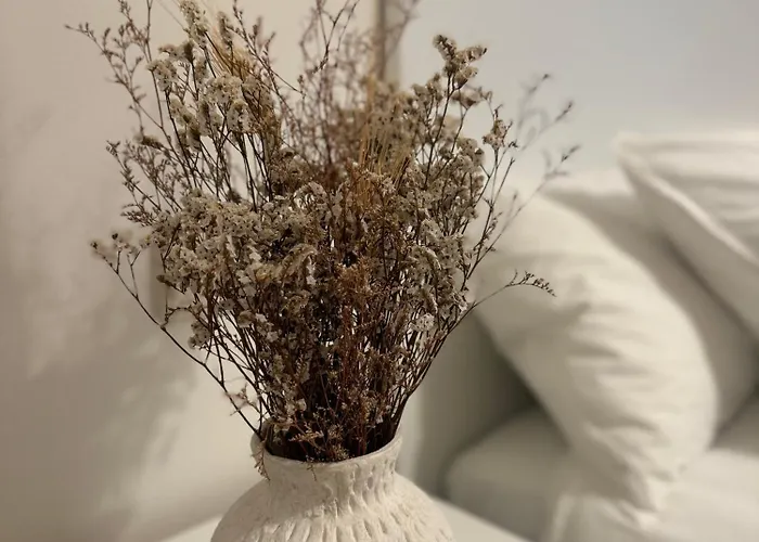 As Travesas Ii Daire *